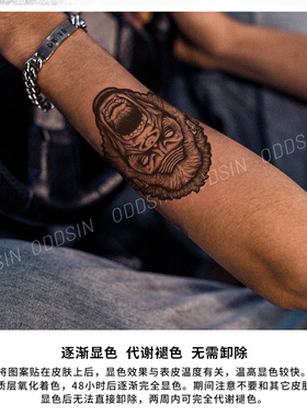 金刚草本纹身贴纸防水网红防水贴纸持久纹身贴防水持久逼真ins风