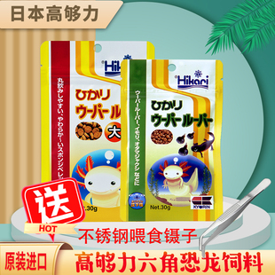 日本高够力六角恐龙饲料专用粮蝾螈娃娃鱼异形鼠鱼观赏鱼下沉型粮