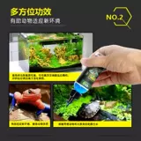 GYP Electrolyte Многомерная рогатая лягушка ящерицы