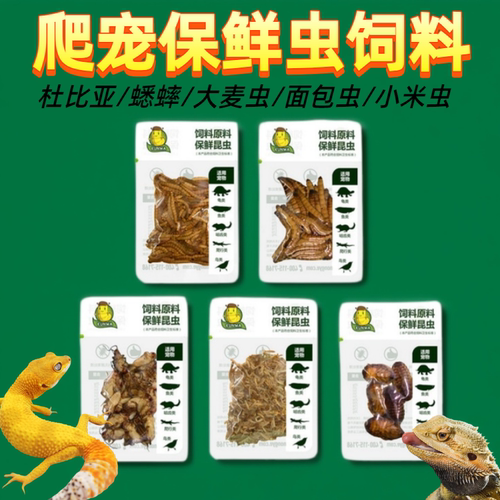爬宠睫角守宫树蛙饲料保鲜虫