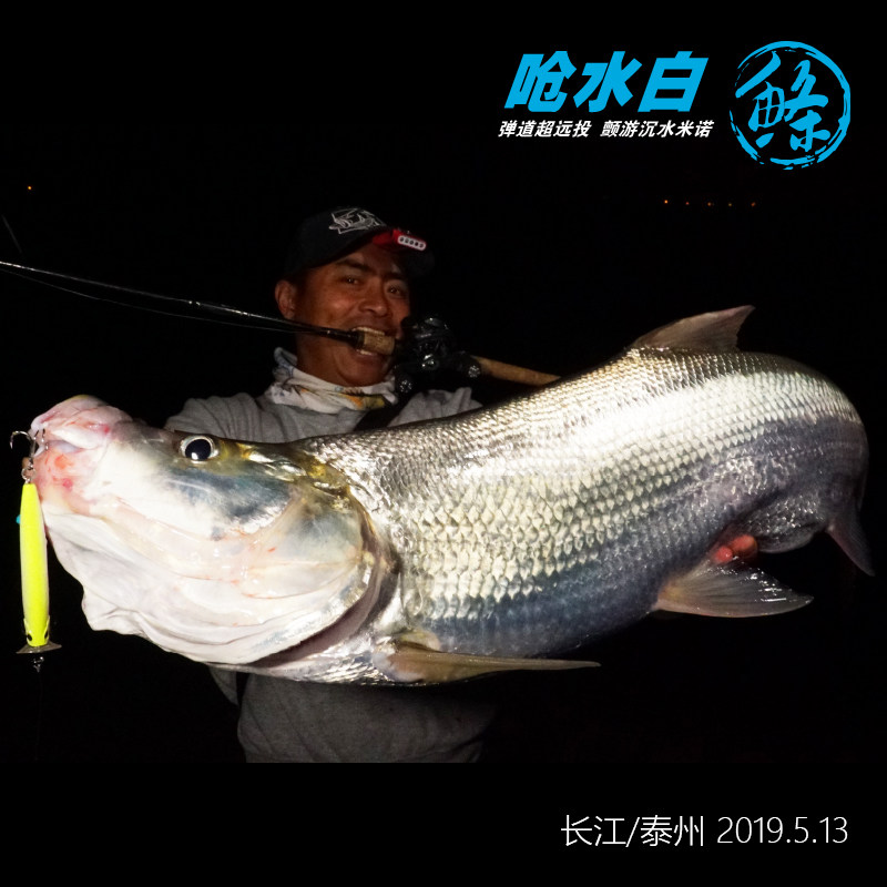 新品蓝旗鱼呛水白鲦白条弹道超远投颤游沉水米诺翘嘴鳡鱼路亚饵假