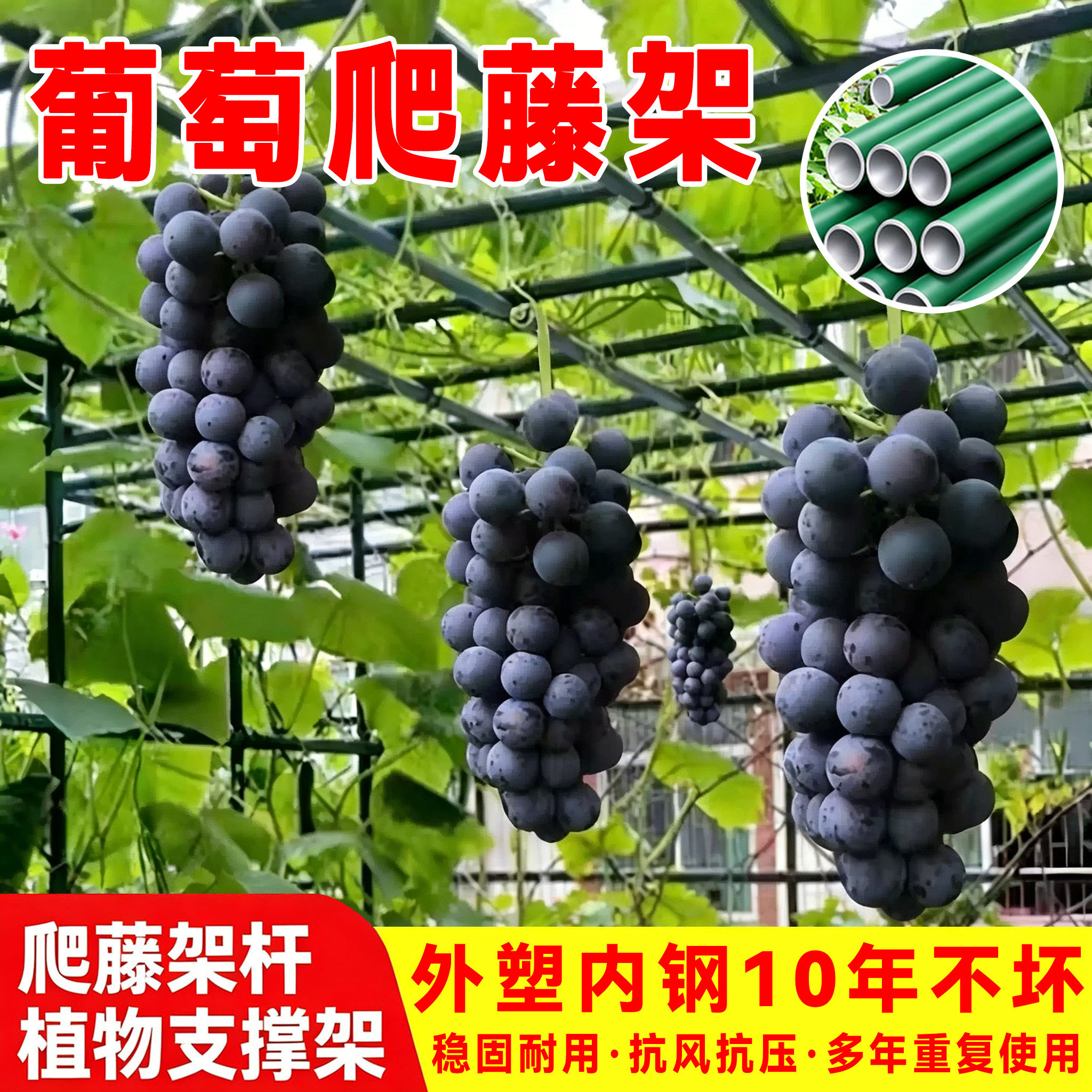 葡萄架子包塑钢管支撑架庭院户外花架爬藤支架丝瓜百香果植物花卉