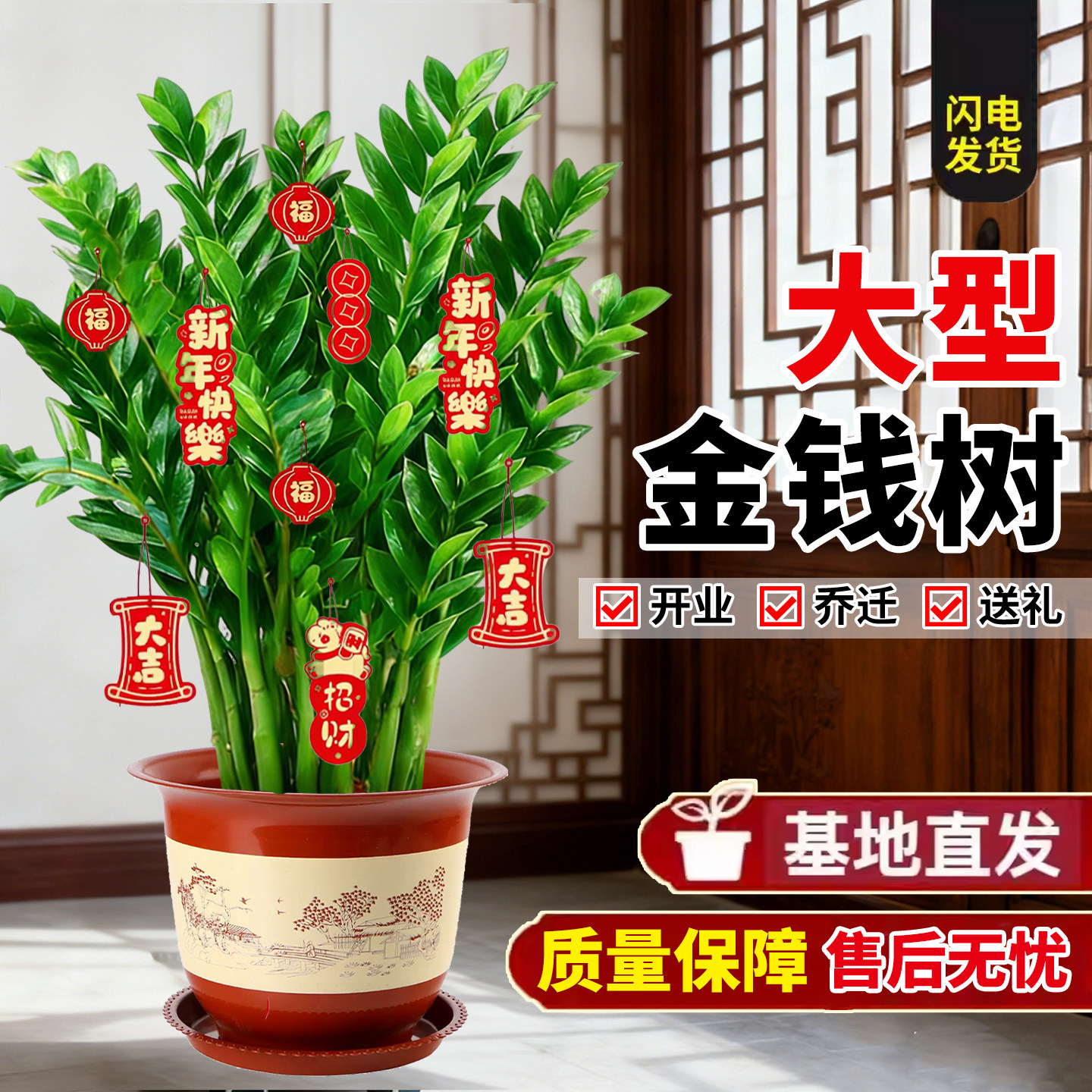 金钱树盆栽客厅大花盆旺宅树办公室内大型好养绿植物乔迁摇钱串子