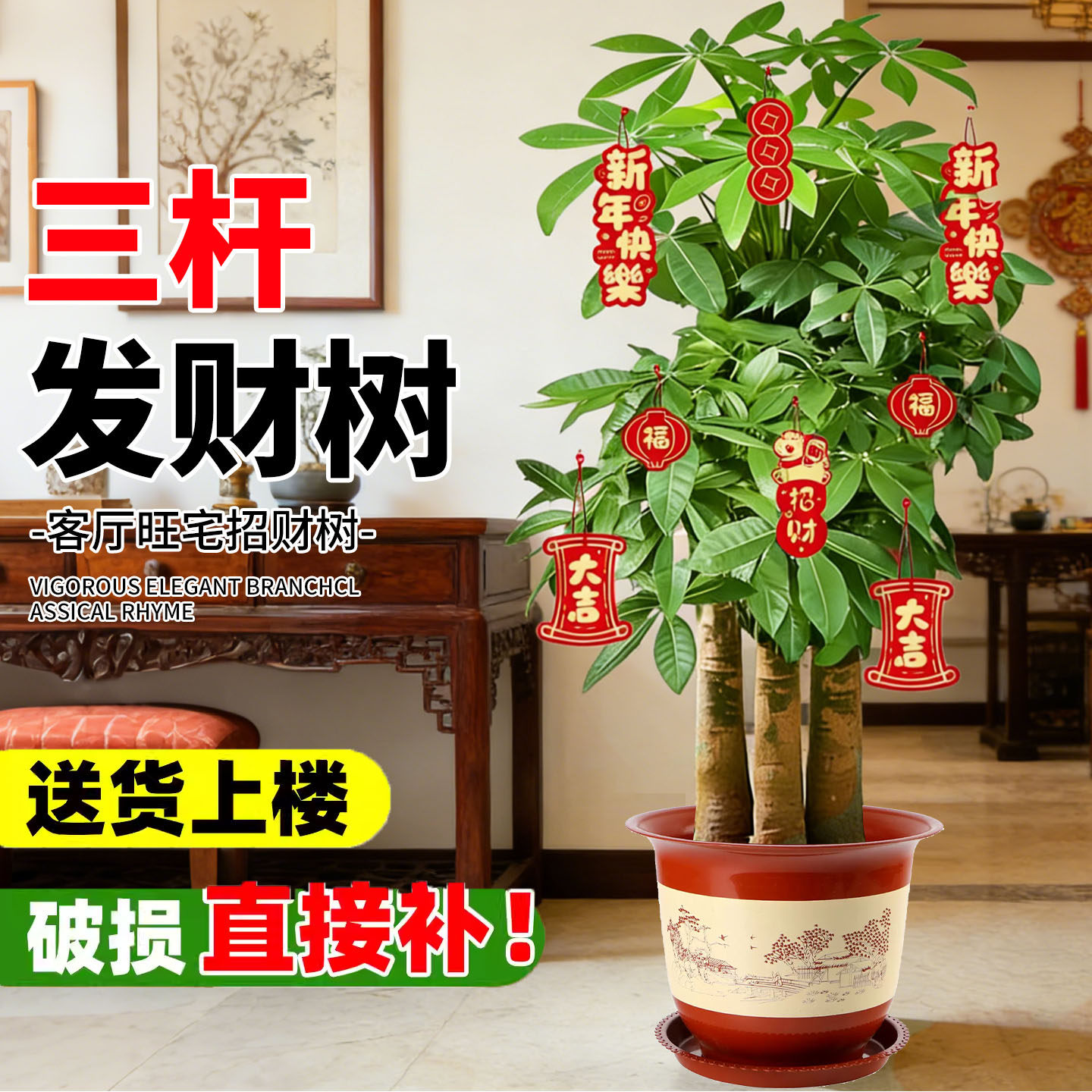 三杆招财树发财树大型室内绿植客厅盆栽辫子办公室乔迁开业植物,鲜花速递/花卉仿真/绿植园艺,大型绿植/成品组合盆栽,淘宝优惠券,粉丝福利购,淘宝优惠卷