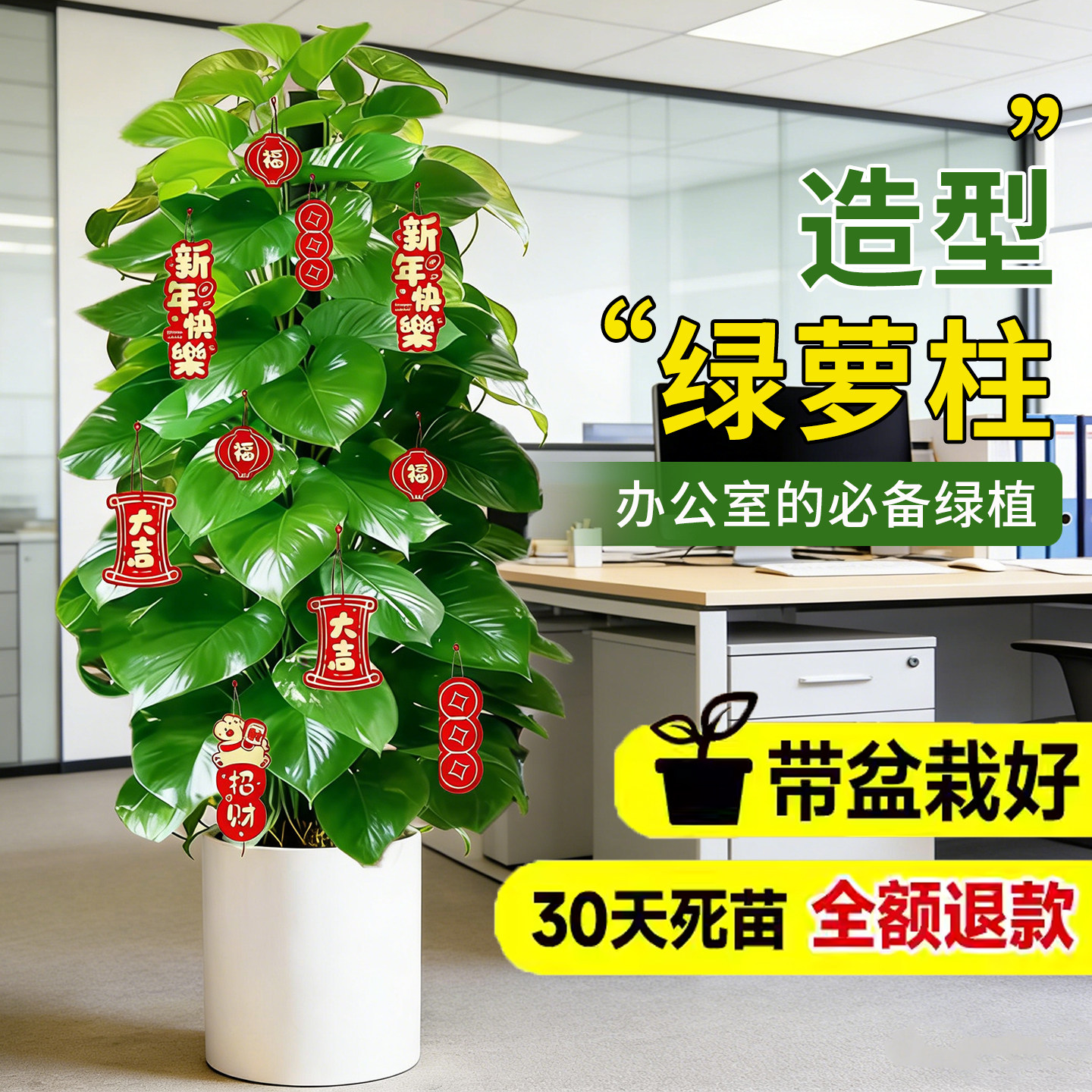 大叶绿萝柱大盆栽客厅大型绿植室内绿萝除甲醛净化空气植物好养活,鲜花速递/花卉仿真/绿植园艺,大型绿植/成品组合盆栽,淘宝优惠券,粉丝福利购,淘宝优惠卷