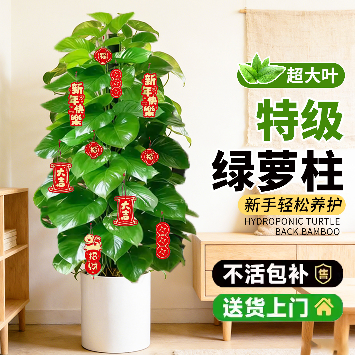 大叶绿萝柱大盆栽客厅大型绿植室内绿萝除甲醛净化空气植物好养活,鲜花速递/花卉仿真/绿植园艺,大型绿植/成品组合盆栽,淘宝优惠券,粉丝福利购,淘宝优惠卷