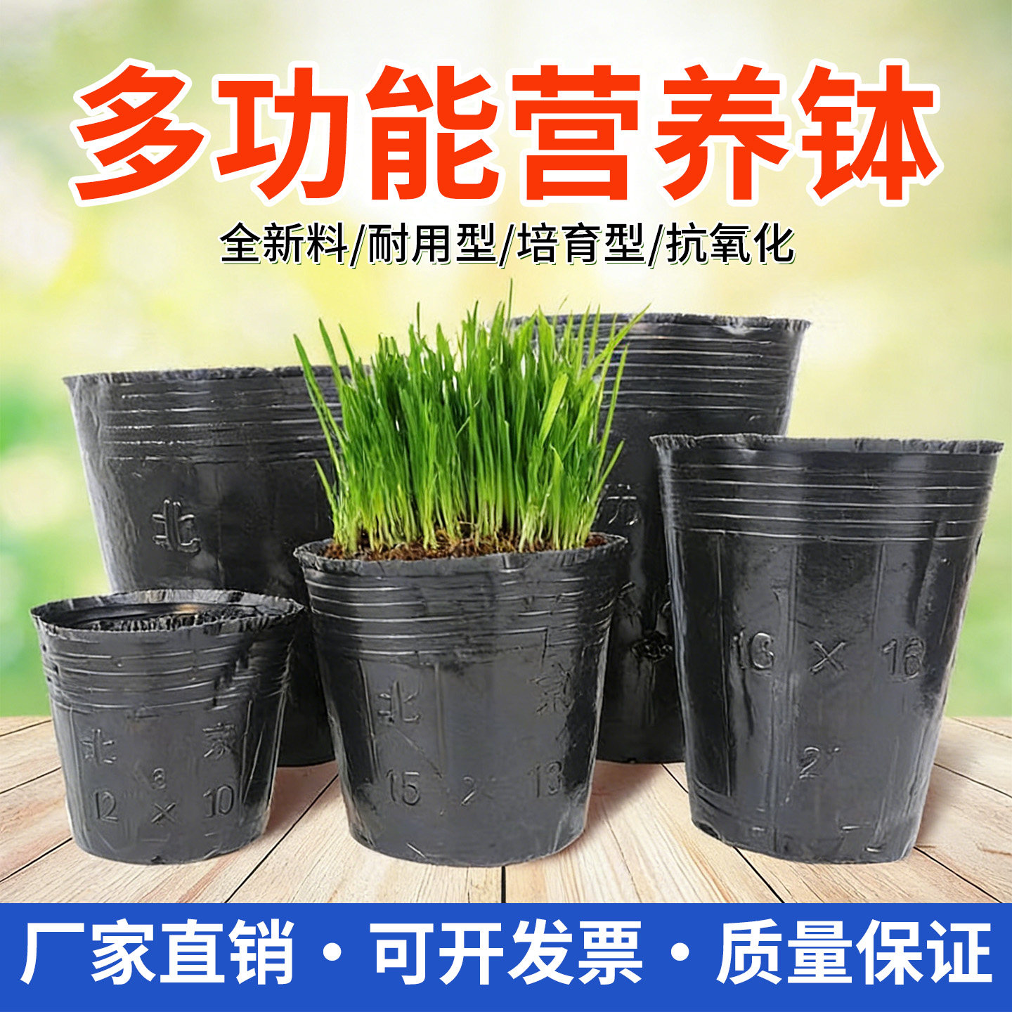 营养杯育苗杯营养钵育苗袋花盆育苗盆塑料加厚一次性农用营养袋,鲜花速递/花卉仿真/绿植园艺,育苗盘/营养钵,淘宝优惠券,粉丝福利购,淘宝优惠卷