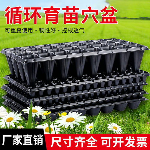 育苗盘育苗盆穴盘塑料杯多肉种植蔬菜育种扦插营养杯育苗盒