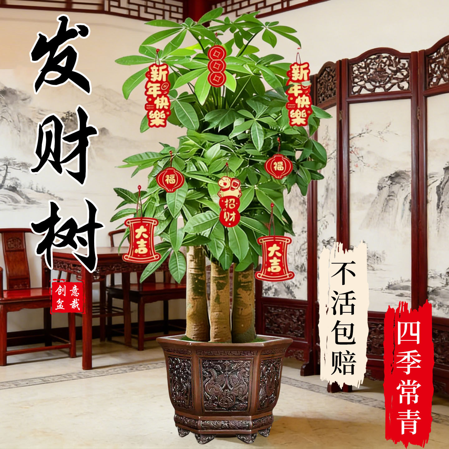 三杆发财树招财树大型室内绿植客厅盆栽辫子办公室乔迁开业落地,鲜花速递/花卉仿真/绿植园艺,大型绿植/成品组合盆栽,淘宝优惠券,粉丝福利购,淘宝优惠卷