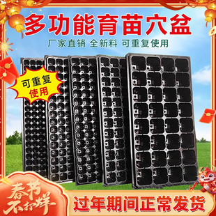 营养钵育苗盘育苗盆穴盘蔬菜育种塑料杯多肉种植扦插营养杯育苗盒