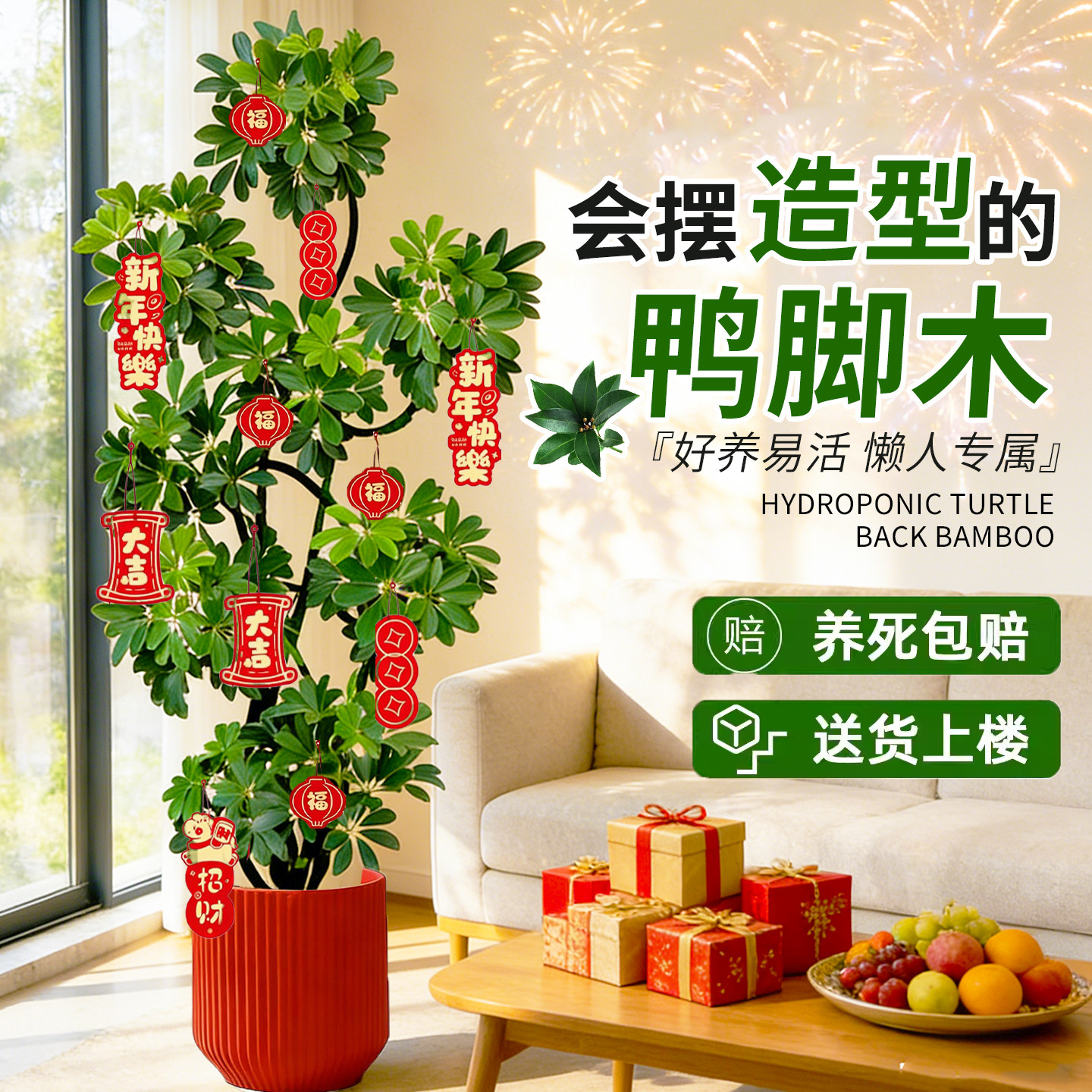 造型八方来财鸭脚木客厅大盆栽鸭掌室内乔迁绿植植物大型落地四季