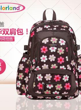 Colorland妈咪包内胆分格双肩背包多功能大容量妈妈母婴包外出包