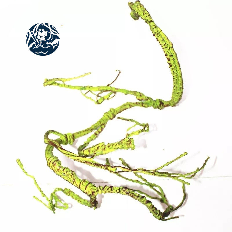 RS爬虫箱造景树藤假树枝亚克力网变色龙箱雨林泡沫蔓藤饲养箱装饰