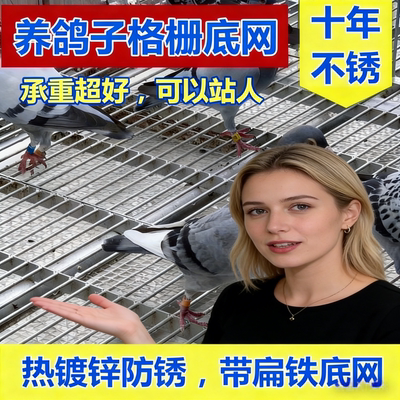热镀锌鸽舍地网鸽舍扁铁地网