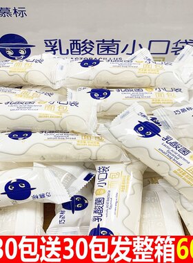 乳酸菌小口袋面包整箱蛋糕类早餐休闲零食品小吃糕点宿舍解馋