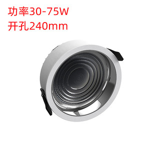 12寸高光效LED筒灯商超连锁KA运动品牌店照明替换40W大开孔25CM