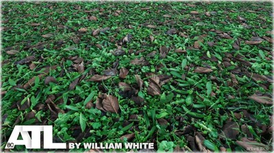 U3D地面贴图纹理库 ATL (121 Ground Textures) Vol.2 1.1