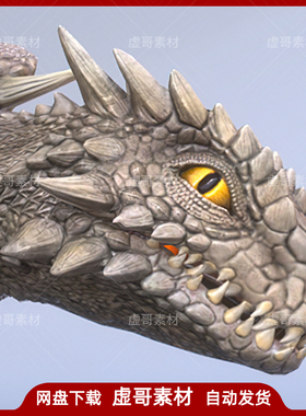 UE4模型 DESERT DRAGON 沙漠龙恐龙带动画模型