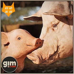 pack 5.0 Animalia UE5动物 Pig 4.27 猪 4.24