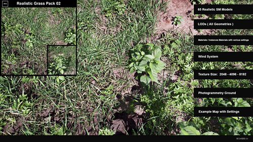 虚幻4完整项目 写实草地 Realistic Grass Pack 02 UE4.20 - 4.26