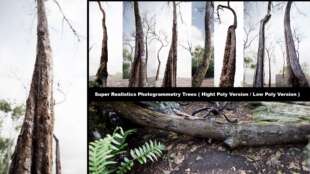 Trees 森林植物包 虚幻4资源 Pack Forest Plants Realistic UE4
