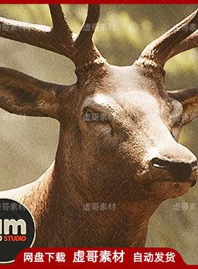 UE4模型 Animalia Red Deer male 森林动物红色麋鹿含动画模型