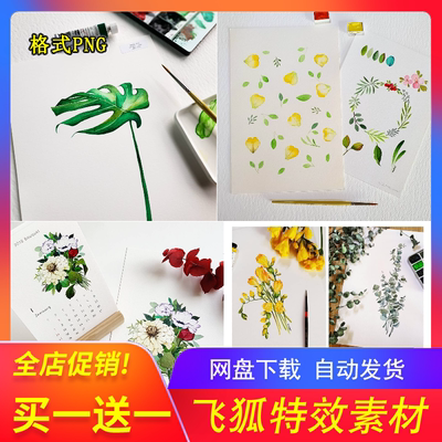 米娜Mina手绘水彩花叶插画540P