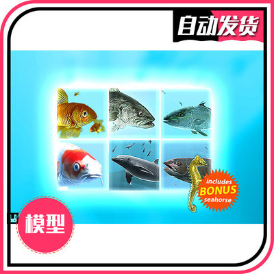 鱼群3D模型 Fish School Bundle 1.3.3