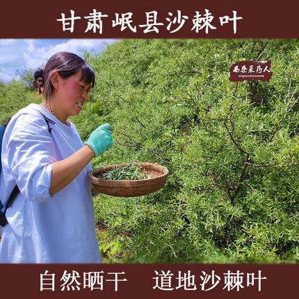 沙棘叶茶 甘肃特产沙棘茶叶 青晒沙棘叶大山里的新货500克包邮