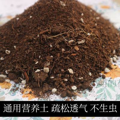 通用营养土绿植花卉多肉土