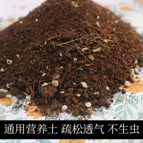 通用营养土绿植花卉多肉土