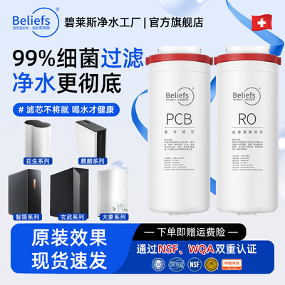 碧莱斯适用美的花生净水器滤芯MRO1791D400G600G玄武PCB麒麟J600S