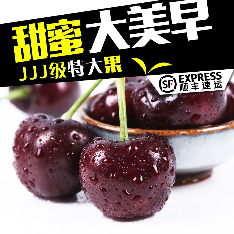 清晨果园美早大连大樱桃