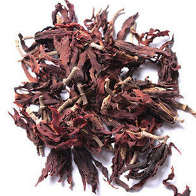 白玉兰 白木兰 白兰花 白玉兰茶