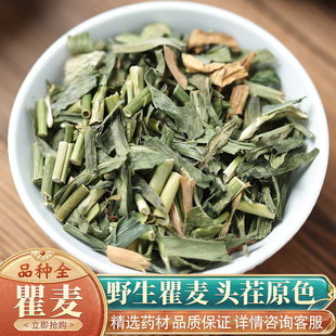 中药材特级野生瞿麦50克正品新货瞿麦茶瞿麦泡水巨麦瞿麦中草药