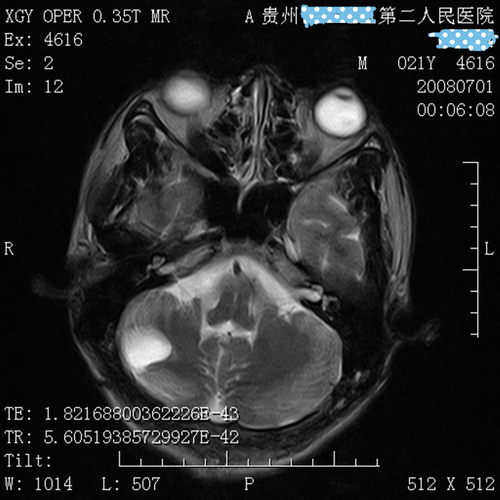 dicom数字软件图文报告打印