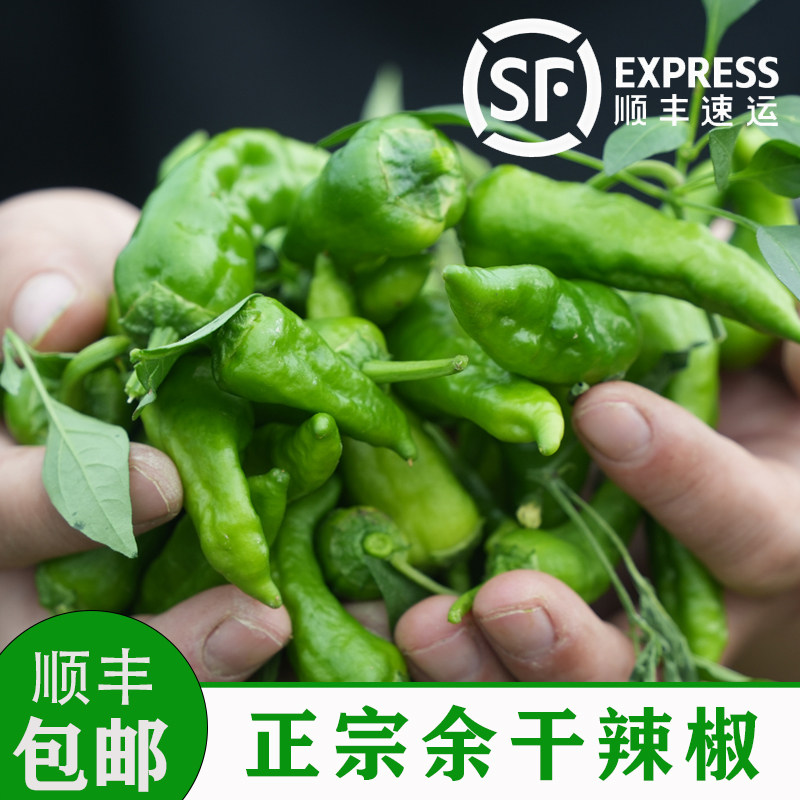 正宗余干丰收辣椒顺丰包邮