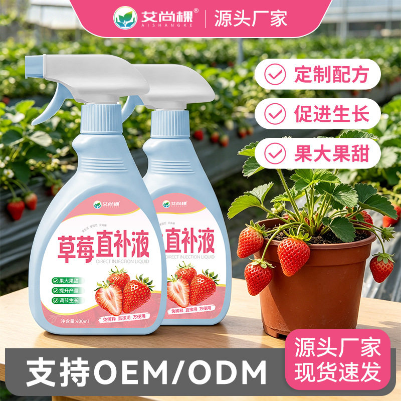 艾尚棵草莓专用肥营养液盆栽种植叶面肥液体肥阳台种菜草莓营养液