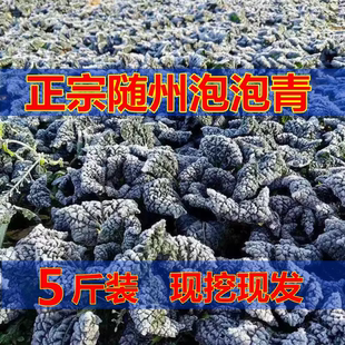 随州安居泡泡青菜矮杆打霜新鲜蔬菜现挖现发安居镇包邮湖北土特产