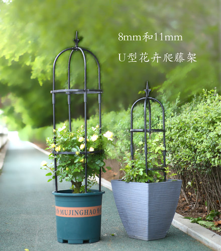 园艺藤本月季绿萝爬藤架 植物U型包塑钢管花支架支柱玫瑰盆栽花架
