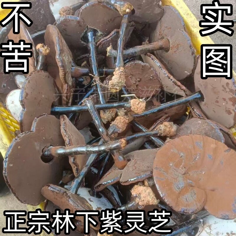 林下野生灵芝椴木紫芝干货整枝图片