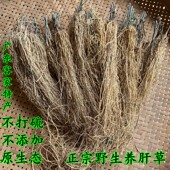 野生养肝草梅州客家特产护肝草龙须根冢庭食材开胃草广东汤料干货