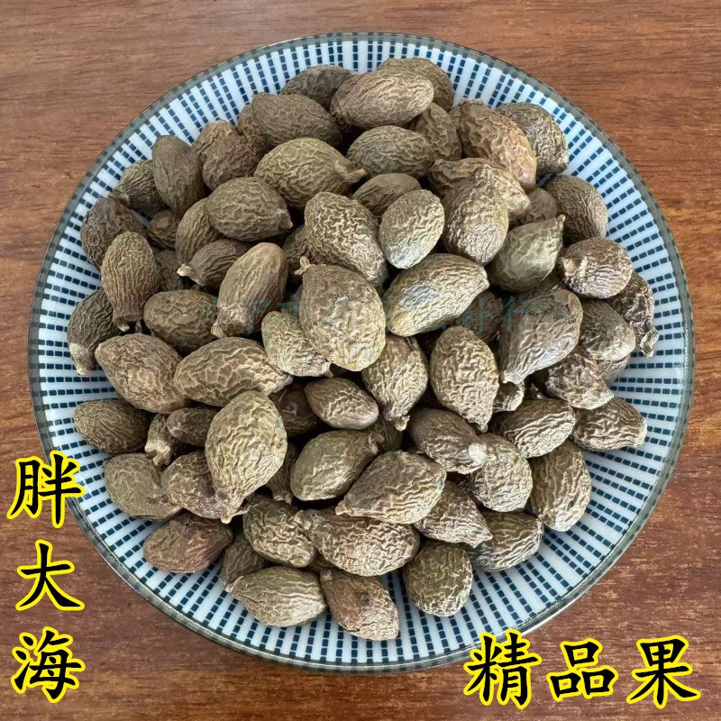 胖大海精选果嗓润清搭罗汉果金银