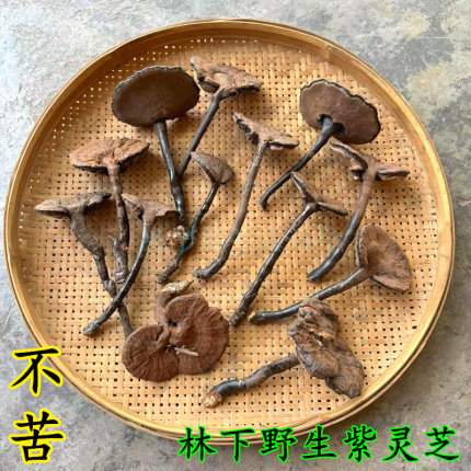 野生紫灵芝正宗梅州林下紫芝愿生态整枝不苦原生态干货500克包邮