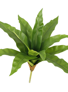 橘梦新款仿真手感巴西木高仿绿植把束叶花材景园园林造景装饰绿植