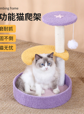 ZOO●紫色三层猫爬架花瓣猫窝猫跳台猫磨爪剑麻双球耐抓玩具