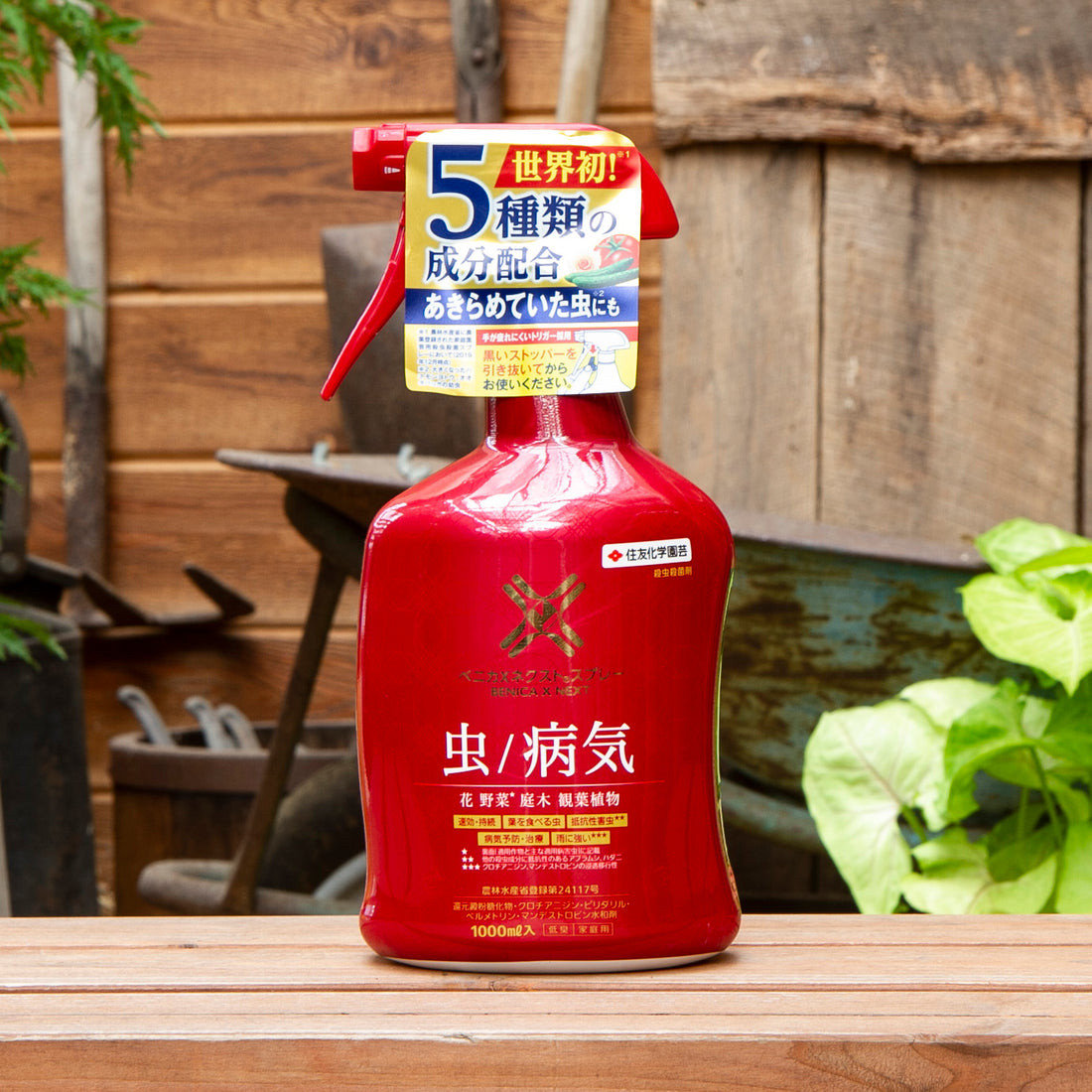 日本住友大红瓶喷雾升级版 介壳虫红蜘蛛白粉病黑星病