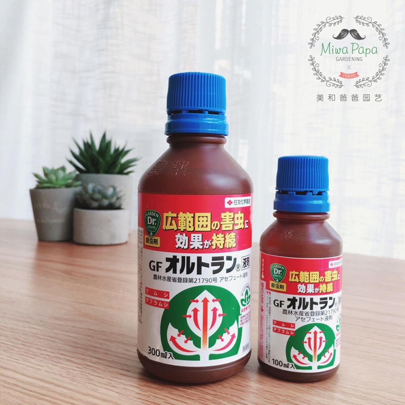 日本原装进口住友GF液体100ml 蚜虫 网蝽 叶蜂 玫瑰杜鹃