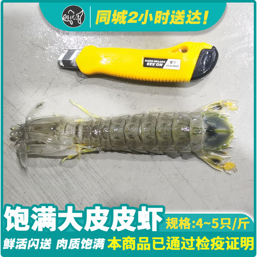 鲜优速海虾手臂粗大虾大皮皮虾