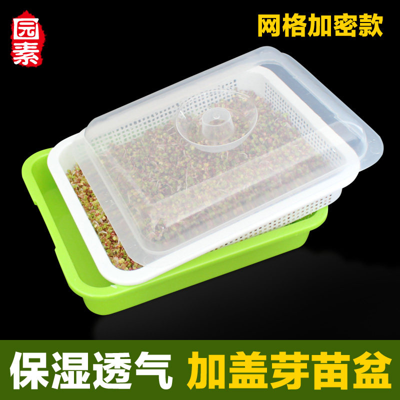 纸上种菜带盖穴盘多肉盆绿豆芽